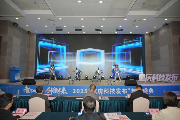 科技艺术表演《人机协舞·智启未来》。主办方供图