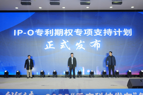 “IP-O专利期权专项支持计划”产品正式发布。主办方供图