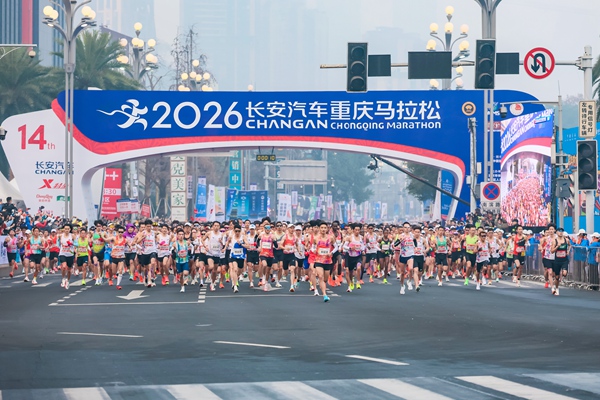 比賽現場。主辦方供圖