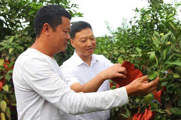 潼南民生村镇银行走访企业。重庆市委金融办供图