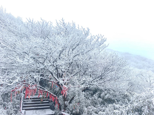 金佛山雪景。景区供图