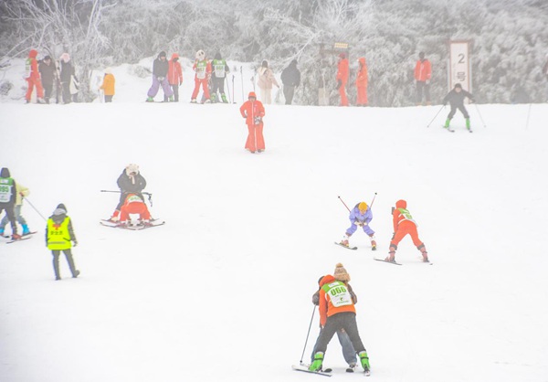 金佛山滑雪场。景区供图