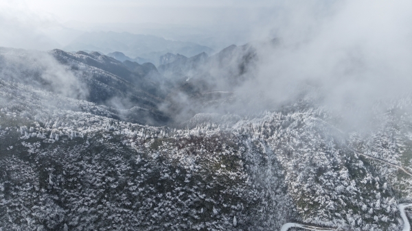 1月22日，轎子頂林場的山脊、坡頂，素雪覆林，宛如仙境。楊帆攝
