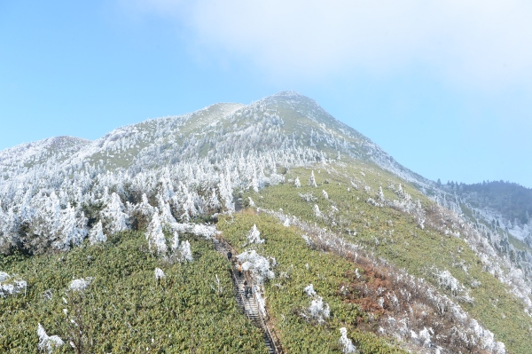1月22日下午，天空放晴，轎子頂林場的積雪尚未化完，游人在山間步道徒步登山。楊林波攝