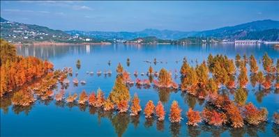 漢豐湖國家濕地公園。 開州區委宣傳部供圖