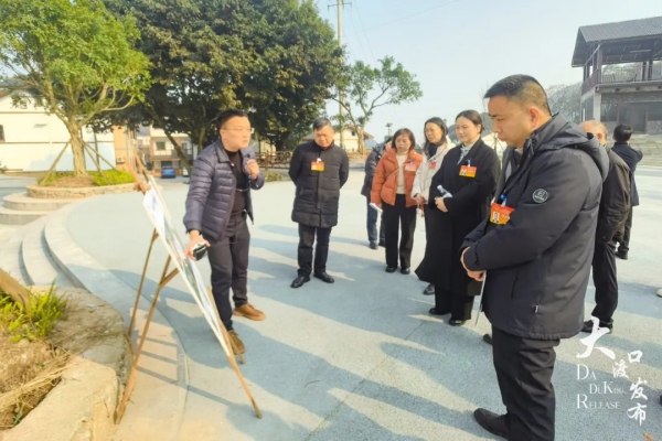 調研鄉村建設。大渡口區融媒體中心供圖