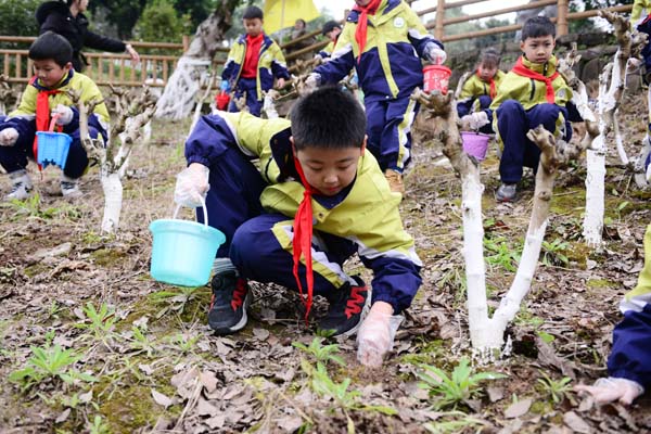 施肥育土。学校供图