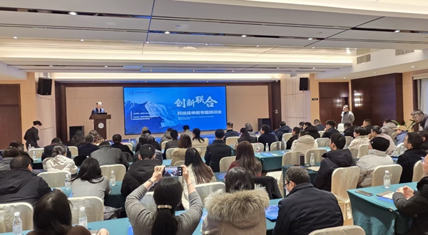 活动现场。主办方供图