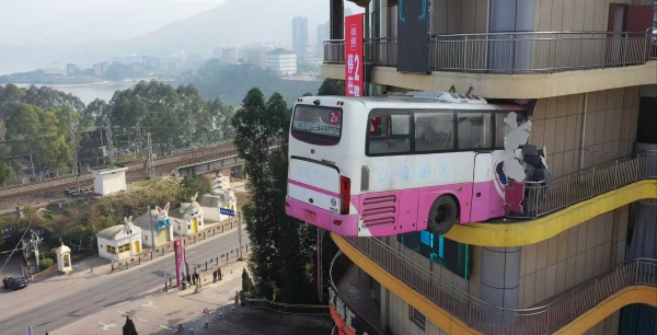 （受访单位供图）