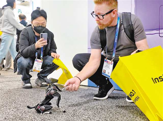 在二○二六年国际电子消费展上，观展者在和重庆造哮天Sirius智能机器狗互动。（受访者供图）