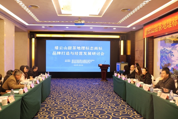 研讨会现场。主办方供图