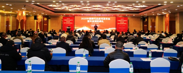 活动现场。主办方供图