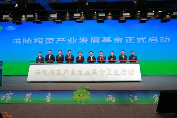 涪陵榨菜產業基金啟動。胥世鵬攝