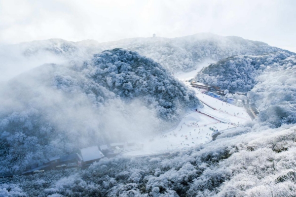 冰雪覆蓋的金佛山。金佛山景區供圖
