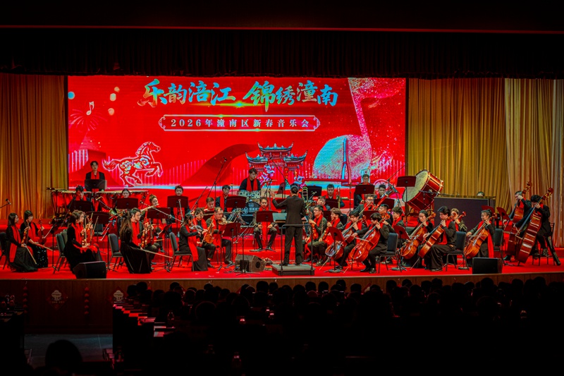 演出现场。主办方供图