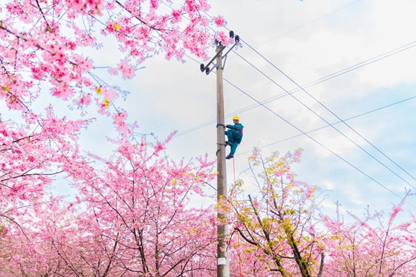 電力人員登杆檢修。國網重慶永川供電公司供圖