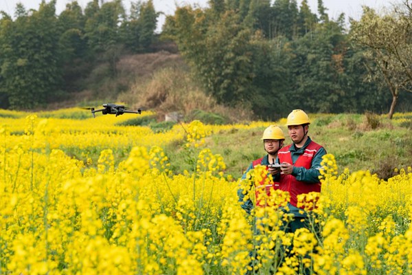 電力人員利用無人機勘查線路安全運行情況。國網重慶永川供電公司供圖