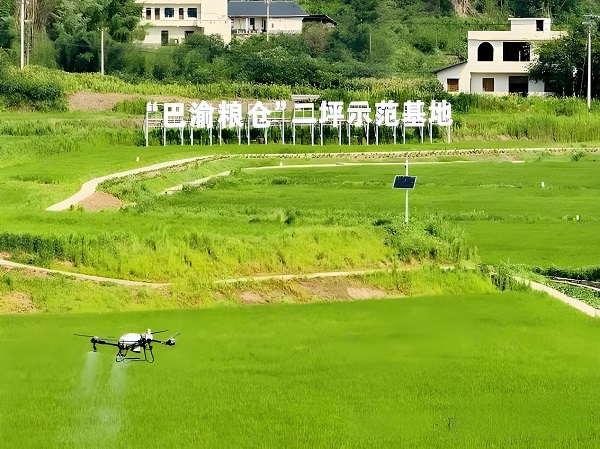 “巴渝糧倉”二坪示范基地。銅梁區供銷聯社供圖