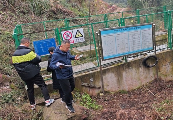 張龍剛在現場走訪。重慶環投集團供圖