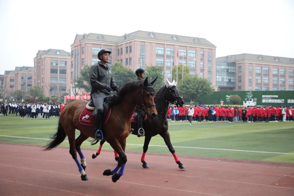 专业人员现场进行马术表演。重庆市南城巴川学校供图