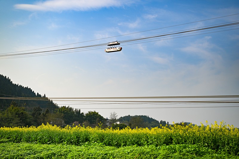 2026年2月27日，潼南區崇龕鎮陳摶故裡景區，游客們乘坐纜車從油菜花海上經過。記者 張春曉 攝