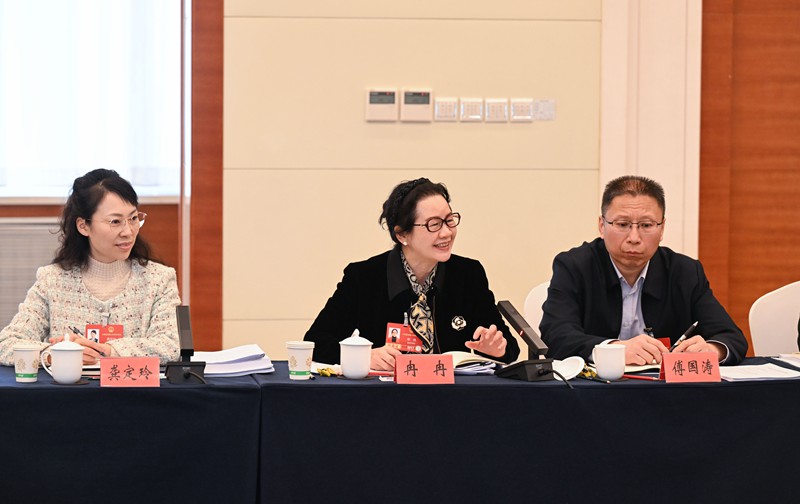 3月7日,十四屆全國人大四次會議重慶代表團舉行會議,分組審查計劃報告和預算報告。會上,全國人大代表冉冉(中)發言。記者 龍帆 攝