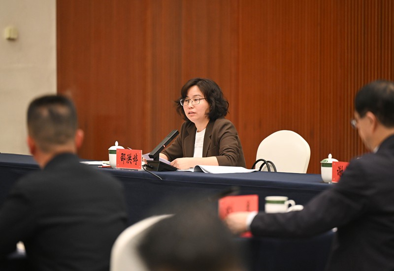 3月7日,十四屆全國人大四次會議重慶代表團舉行會議,分組審查計劃報告和預算報告。會上,全國人大代表邵洪婷結合自己的工作內容提出意見建議。記者 蘇思 攝