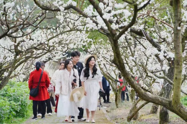 游客漫步在花海中。北碚区委宣传部供图