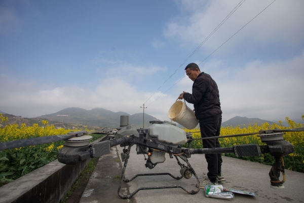 一位種植大戶正在給植保無人機填裝藥劑。胡程攝