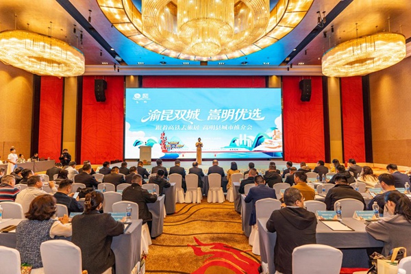 活動現場。主辦方供圖