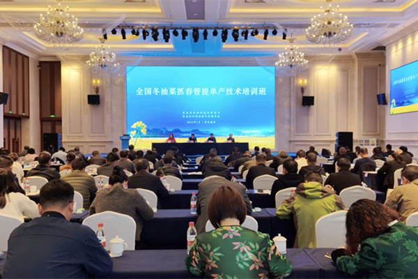 全国冬油菜抓春管提单产技术培训班在潼南举行。活动方供图