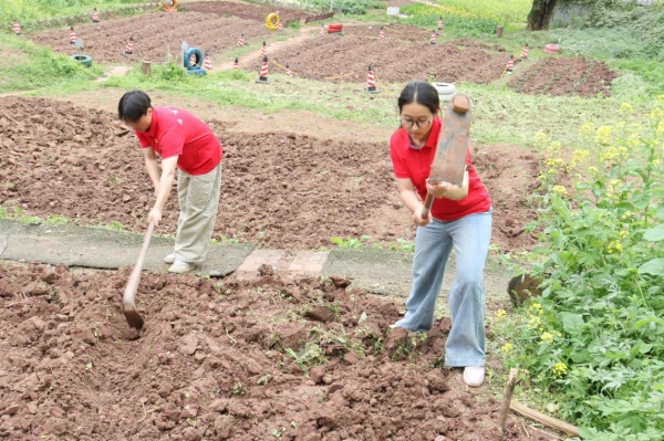 土地翻新。校方供图