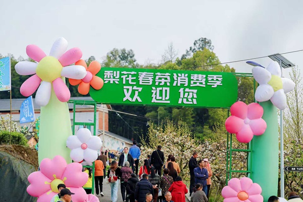 活动现场。主办方供图