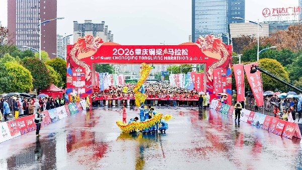 现场龙舞表演。活动主办方供图
