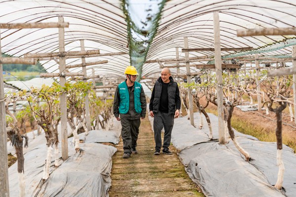 电力人员了解用电需求。国网重庆永川供电公司供图