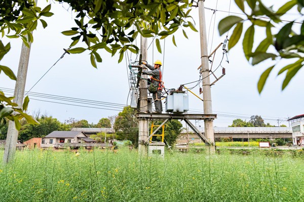 电力人员开展电力检修工作。国网重庆永川供电公司供图