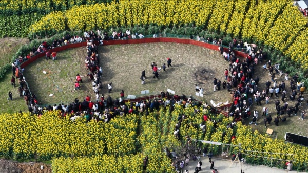 栖霞镇第十八届油菜花节活动现场。栖霞镇供图