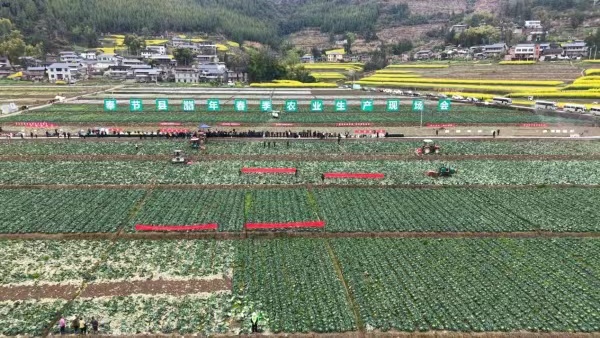 奉节县举行2026年春季农业生产现场会。奉节县农业农村委员会供图