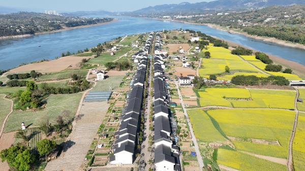 俯瞰南坪坝岛。麻柳嘴镇供图