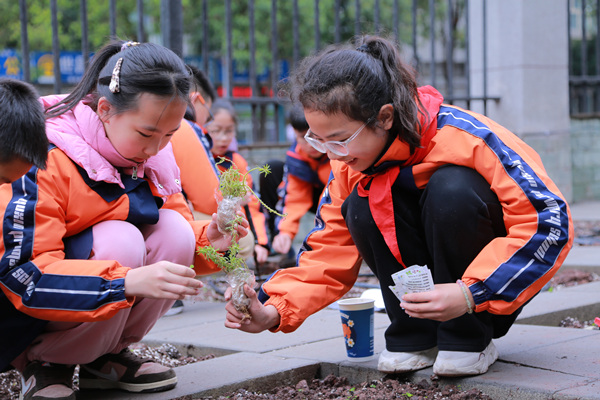 泥土里的成长日记 大渡口区钰鑫小学“智慧农场”开耕