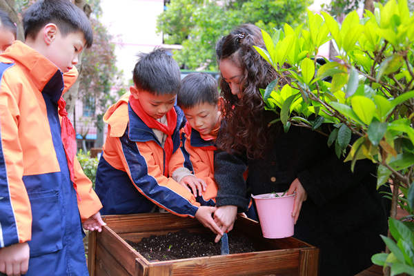 家长到现场协助学生播种。张源摄