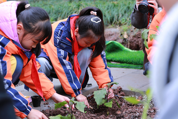 学生认真种下作物。张源摄