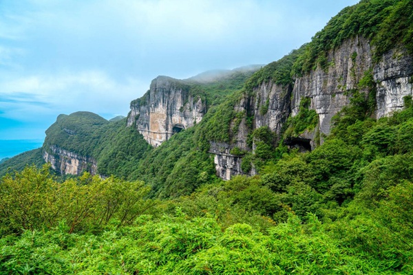 金佛山美景。景區供圖