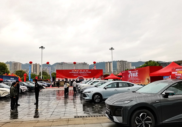 购车优惠、主题体验 重庆新能源汽车下乡走进南川