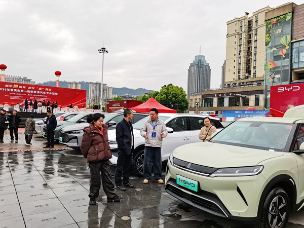 现场市民了解购车优惠。主办方供图