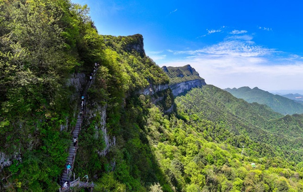 金佛山“金佛天梯”。景区供图
