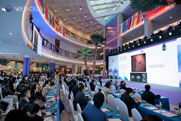 第七届世界内镜组织胶囊内镜全球高峰论坛现场。受访单位供图