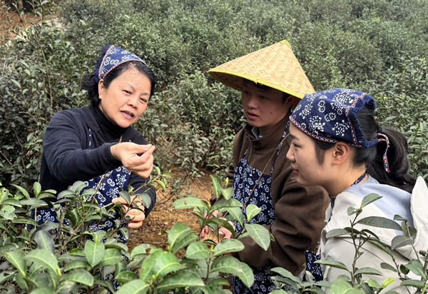 实践现场。校方供图