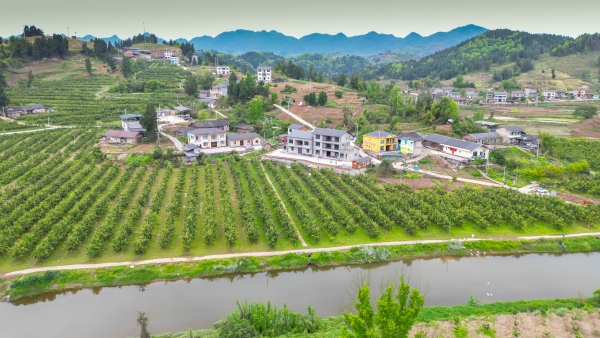 丰都县兴龙镇乡村风景。兴龙镇供图