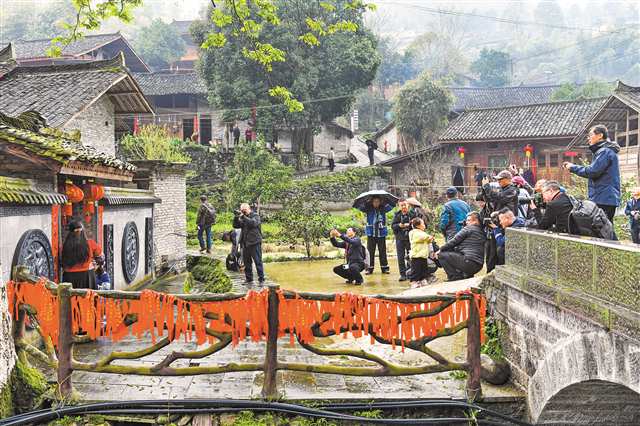 三月二十五日，參會代表深入鄉鎮田間地頭拍攝。楊小林 攝\視覺重慶